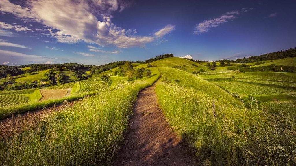 Story of a countryside grassland hill