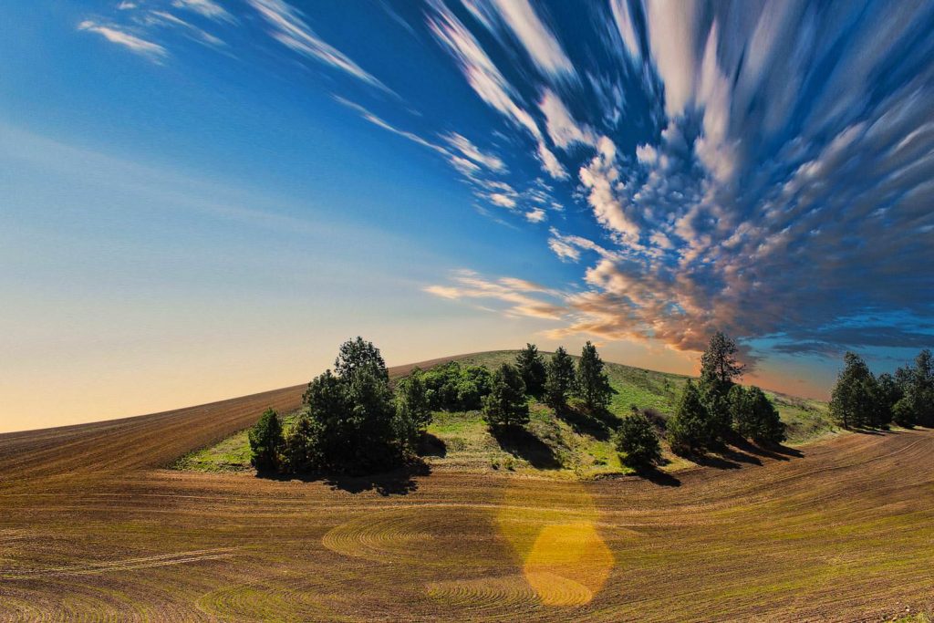 Green square on plowed field