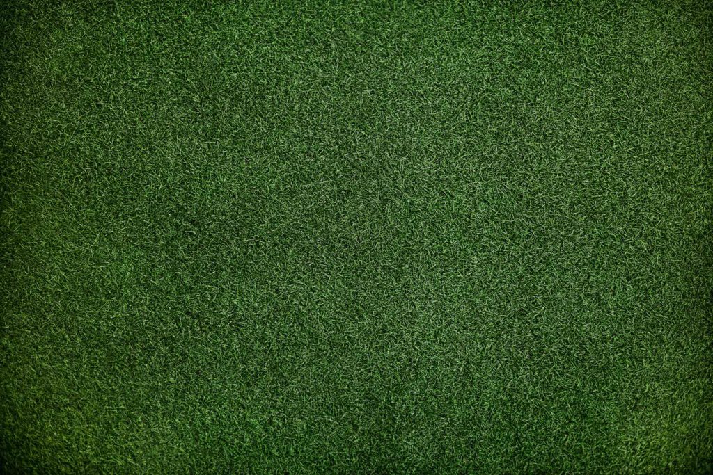 The Grass green pattern