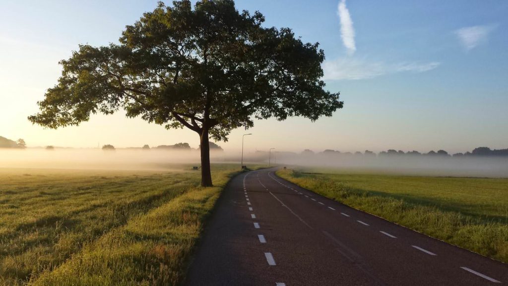 Foggy road  in countryside