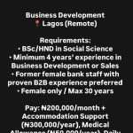 Business Developer